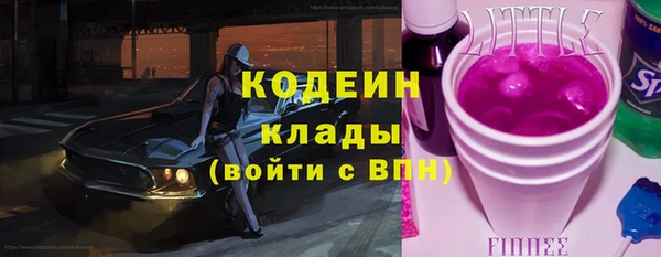 индика Арсеньев