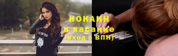 apvp Алексин