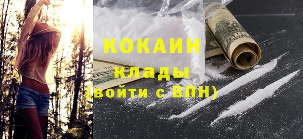 стаф Щигры