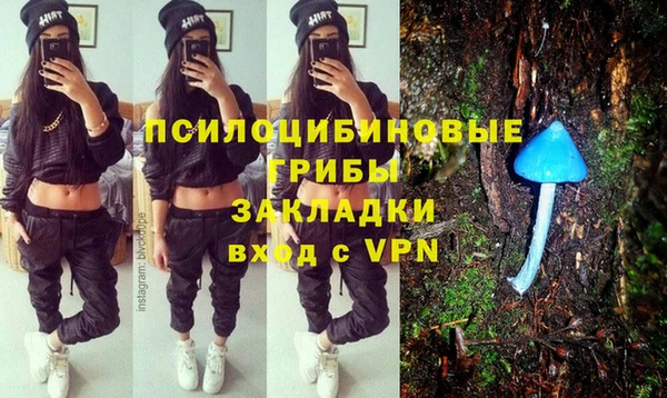 apvp Алексин