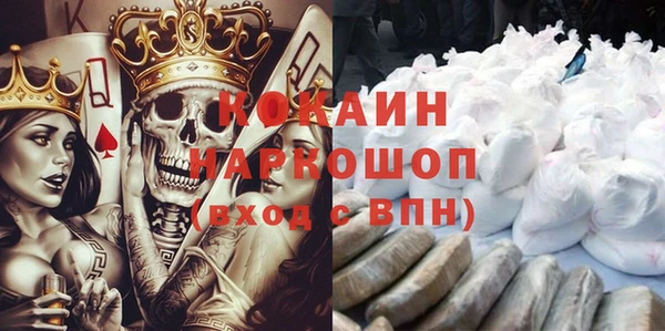 индика Арсеньев