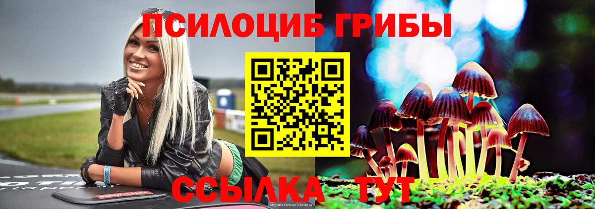 Новомосковск  Галлюциногенные грибы Magic Shrooms  Галлюциногенные грибы GOLDEN TEACHER  Вход с VPN 