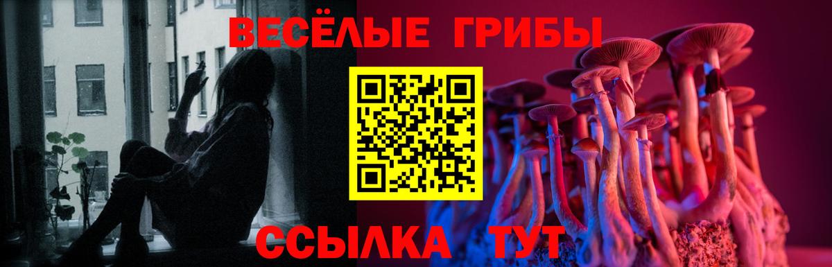 Псилоцибиновые грибы MAGIC MUSHROOMS Новомосковск